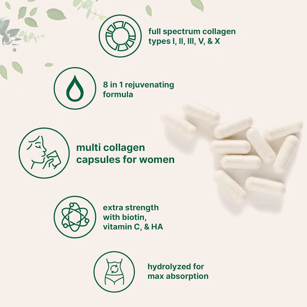 Beauty bird's nest dietary fiber