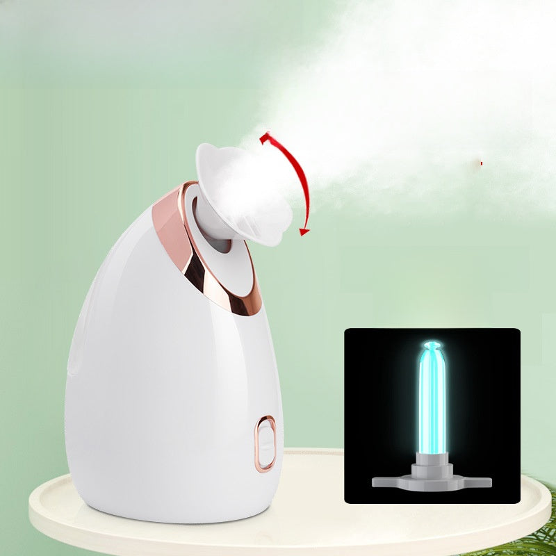 Facial steamer