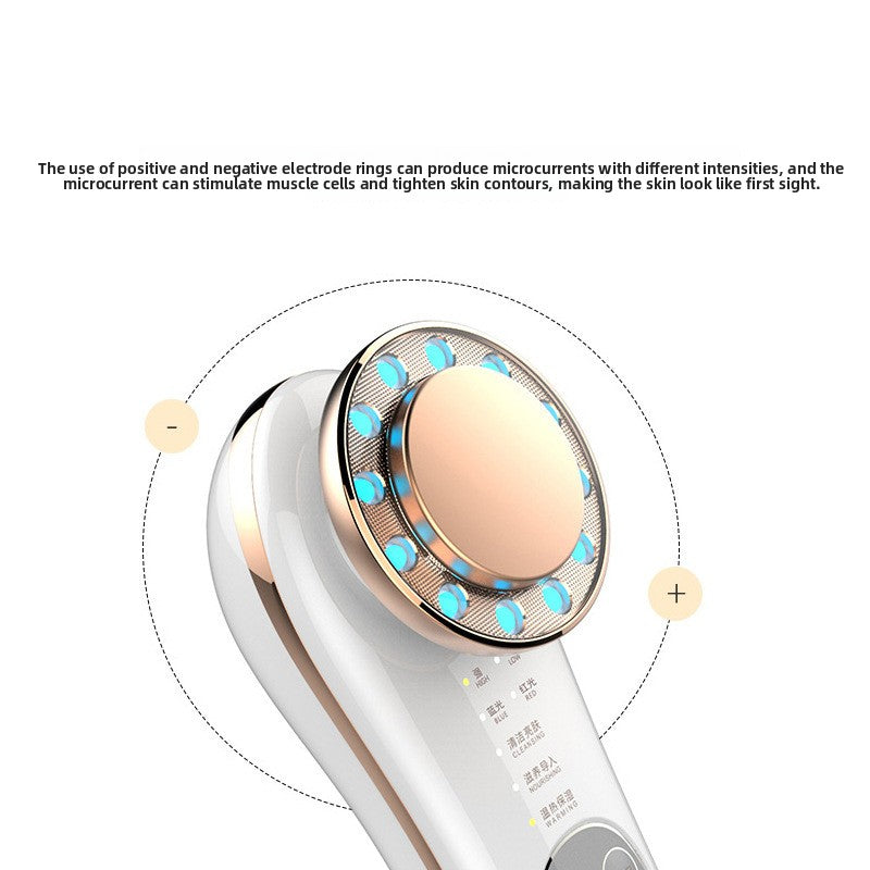 Household Facial Introduction Device