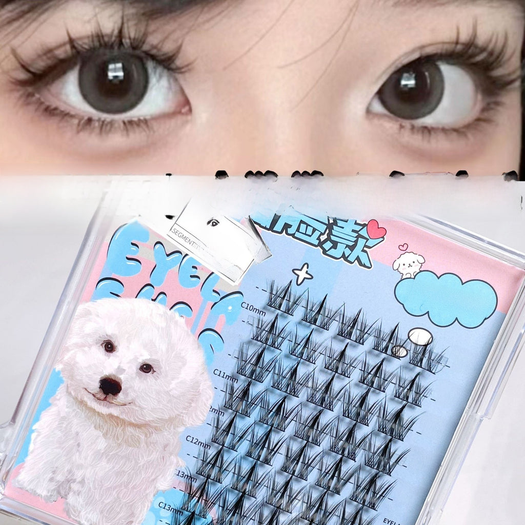 Natural Single Cluster False Eyelashes