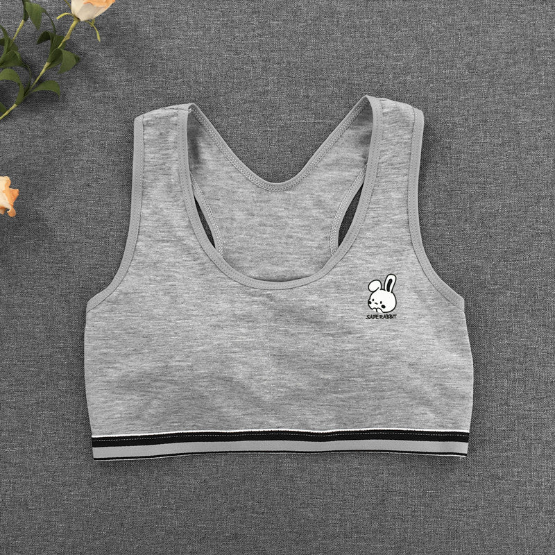 Girls' Developmental Vest Underwear Children's Chest Wrapping Junior High School Primary School Girls' Bra Small Half Clothes