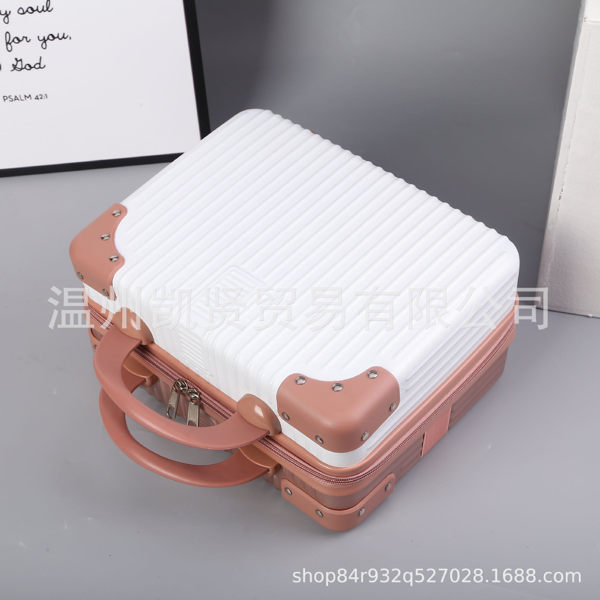 Portable ABS Travel Suitcase