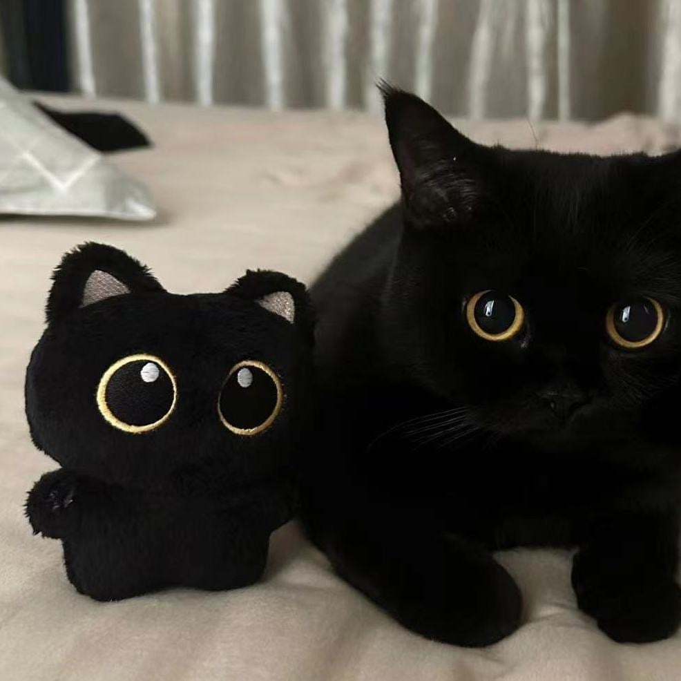 Black Cat Doll Plush Doll Pendant Cute Cat Baby Bag Pendant Couple Gift