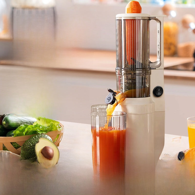 Juice extractor separation machine - puree machine