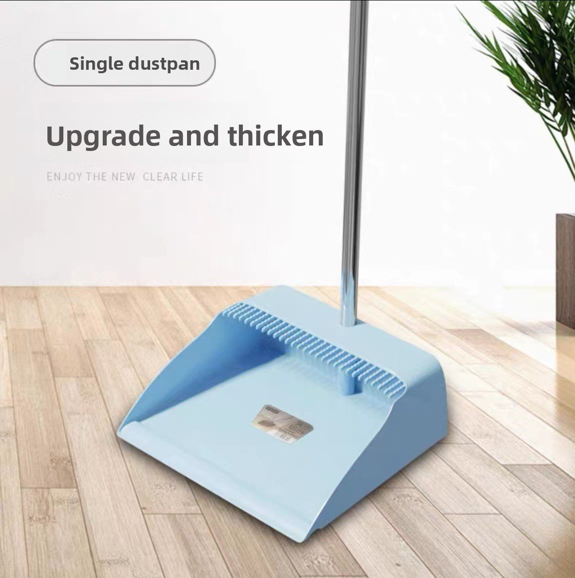 Broom and Dustpan