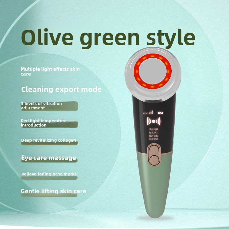 Facial Beauty Instrument