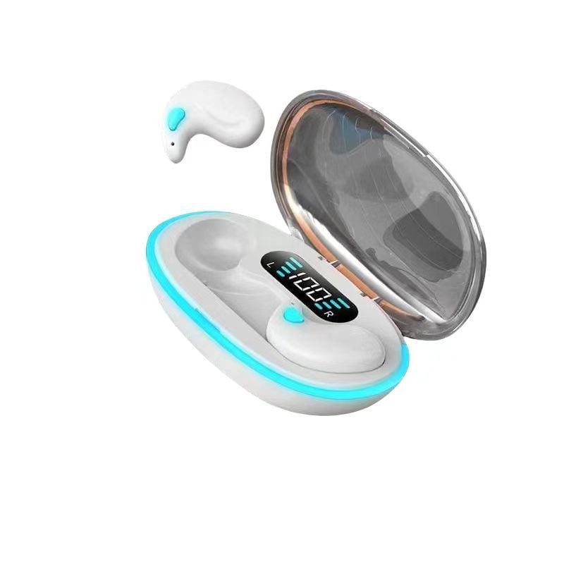 Bluetooth wireless earphones