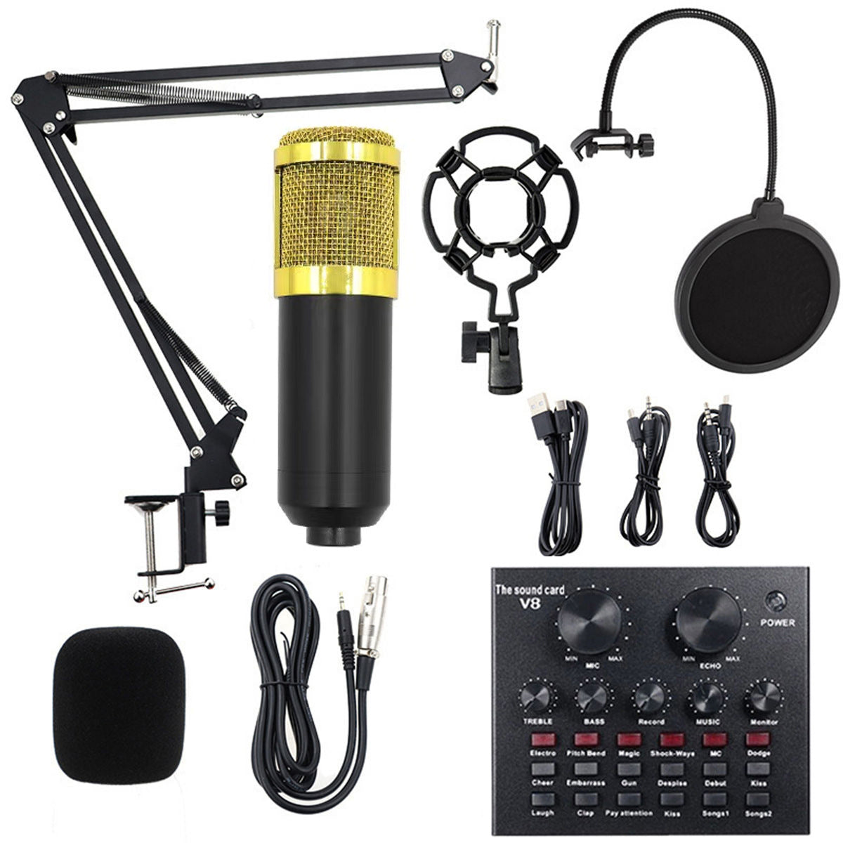 BM800 Condenser Microphone
