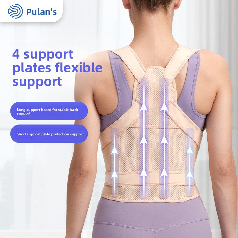 Universal hunchback corrector