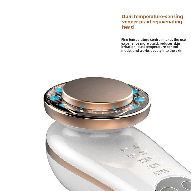 Household Facial Introduction Device