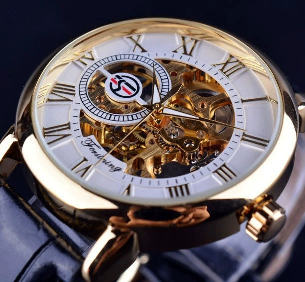 Forsining Men's Mechanical Watch