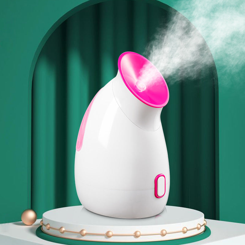 Facial steamer