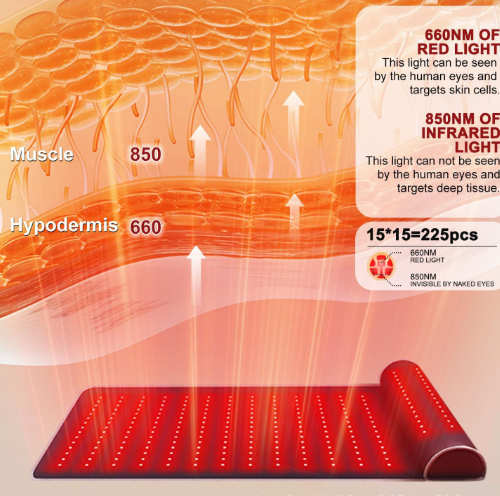 Leather Red Light Physiotherapy Pad with Neck Support