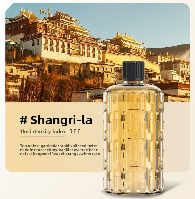 Automatic Fragrance Sprayer with Timer and Essential Oil Diffuser