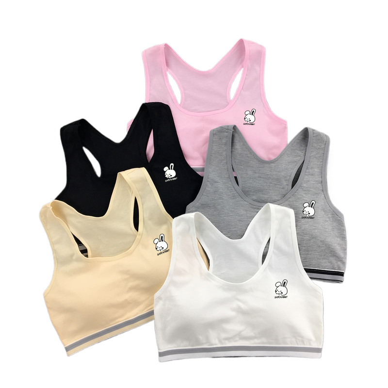 Girls' Developmental Vest Underwear Children's Chest Wrapping Junior High School Primary School Girls' Bra Small Half Clothes