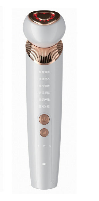 Rechargeable Facial Massager with Cooling Function