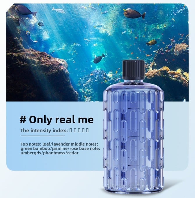 Automatic Fragrance Sprayer with Timer and Essential Oil Diffuser