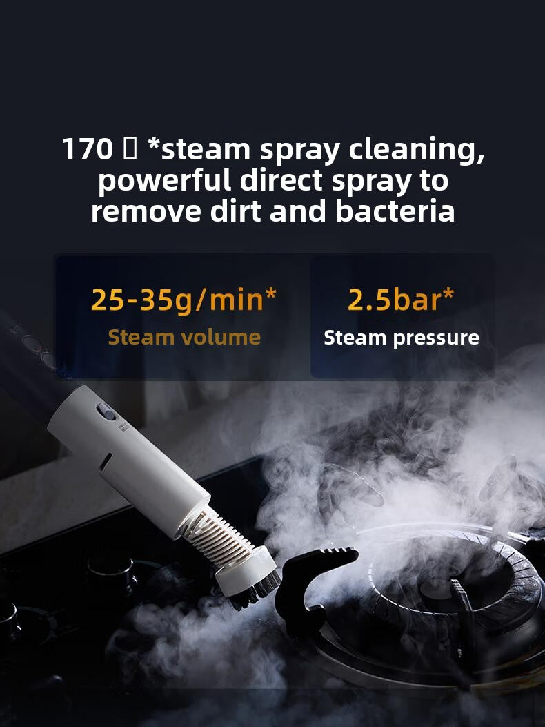 Dongling Multi-Function High-Temperature Steam Cleaner