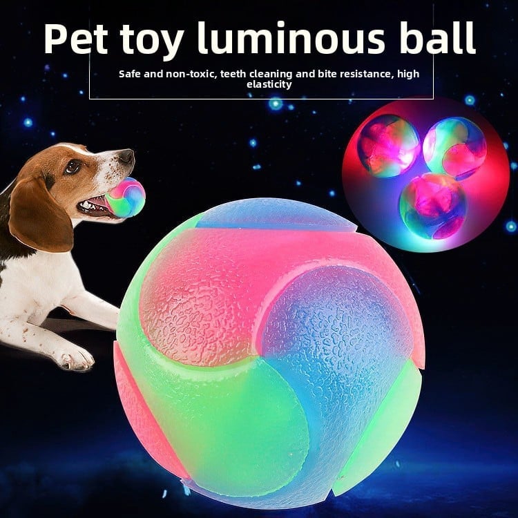 Pet luminous toy balls