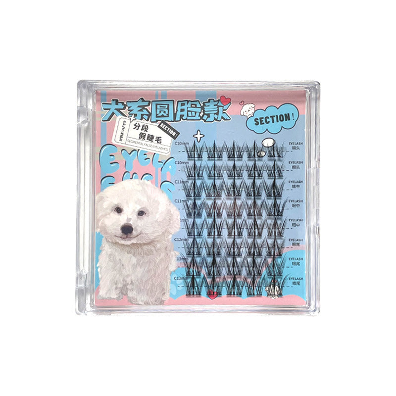 Natural Single Cluster False Eyelashes