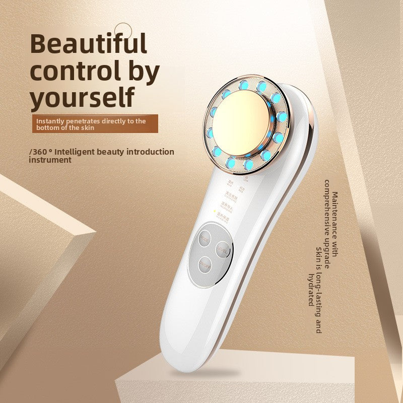 Household Facial Introduction Device