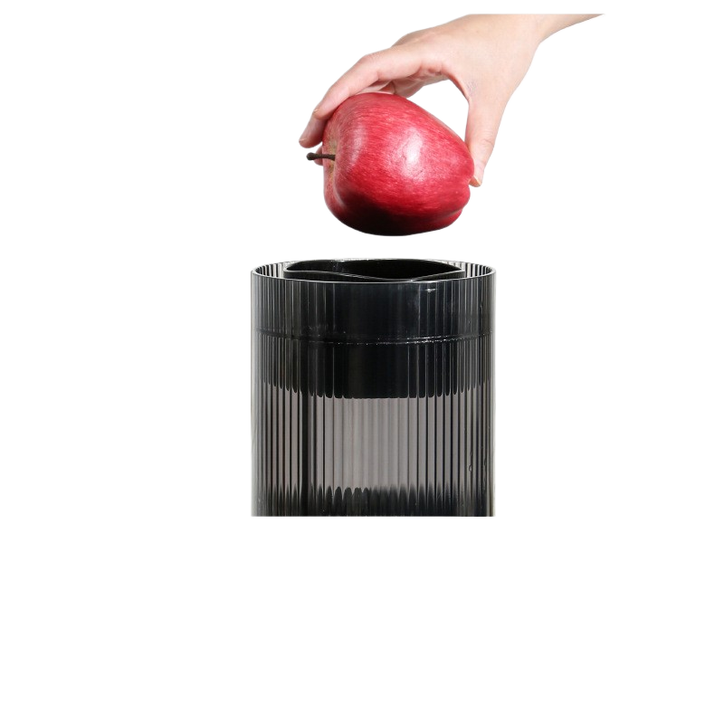 Large-capacity and easy-to-clean juice extractor