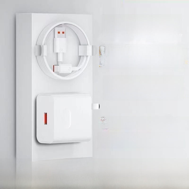Fast Flash Charger with Multiple Cable