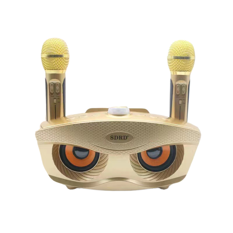 KTV Set Bluetooth Speaker All-in-One