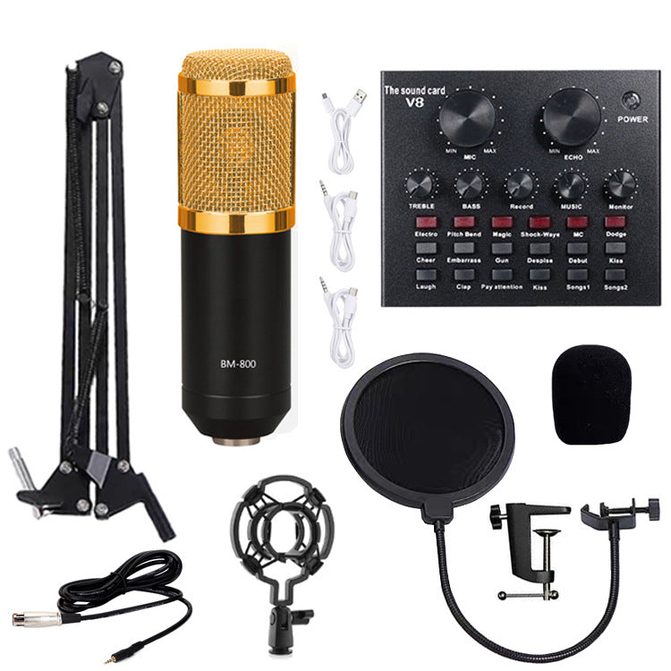 BM800 Condenser Microphone