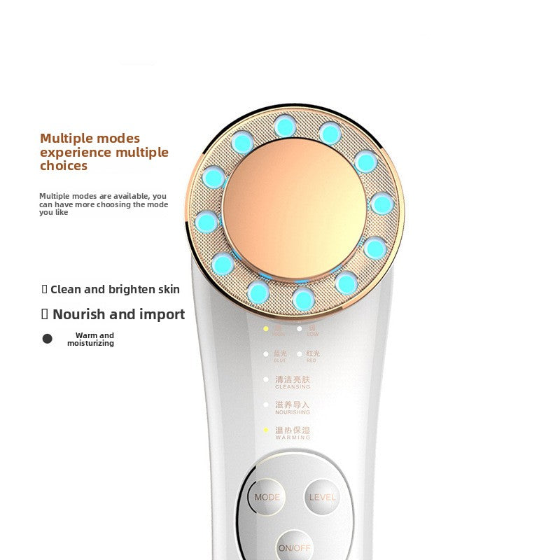 Household Facial Introduction Device
