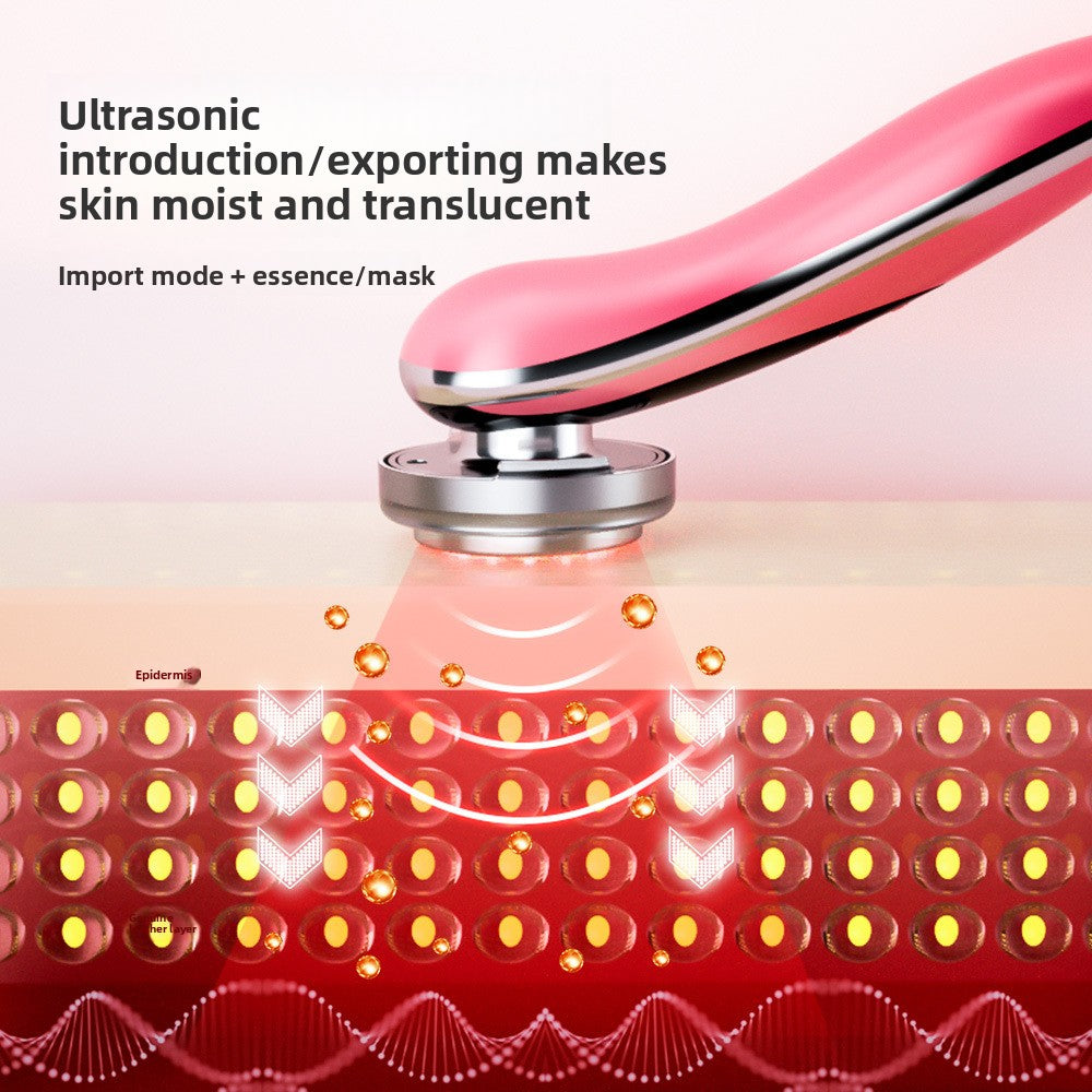 Household facial beauty instrument