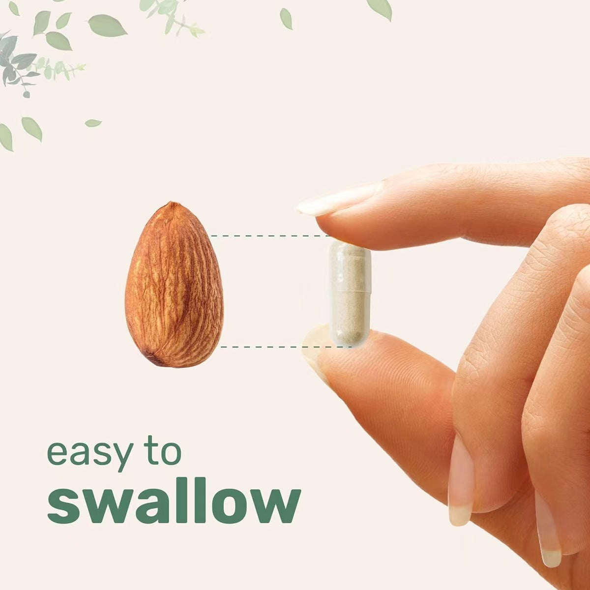 Beauty bird's nest dietary fiber